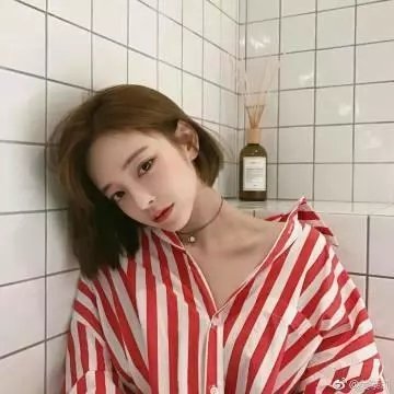 王哥柳哥游台湾